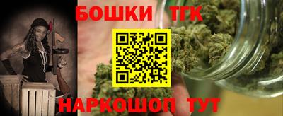 индика Заволжье