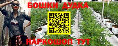 индика Заволжье
