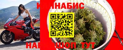 индика Заволжье